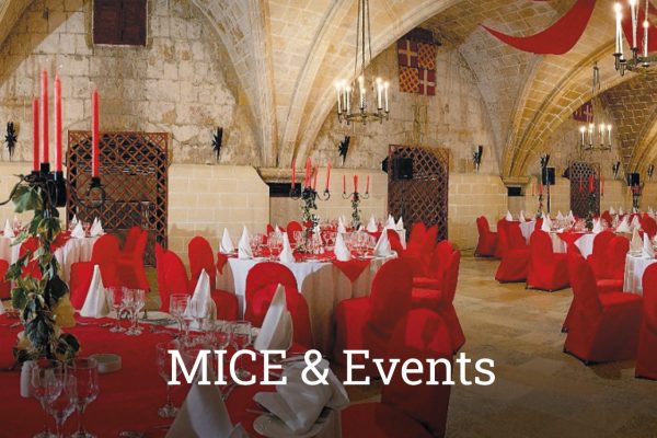 mice_and_events_caption